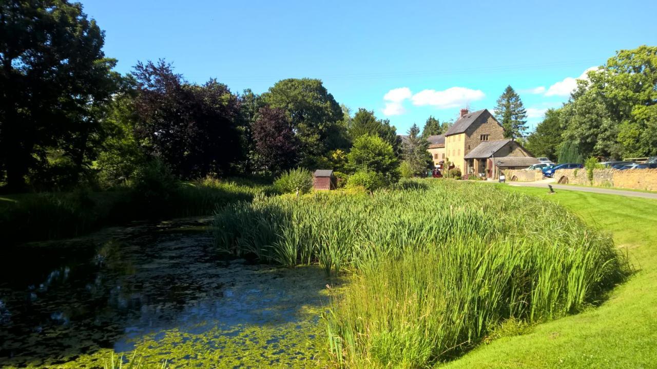 فندق Haselbury Mill كروكيرن المظهر الخارجي الصورة